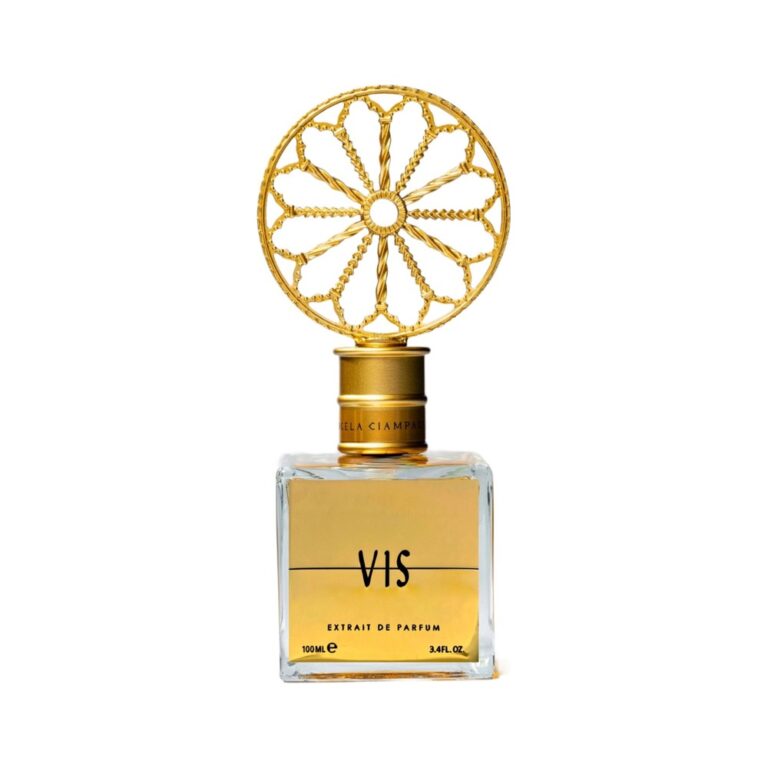 Angela Ciampagna Vis