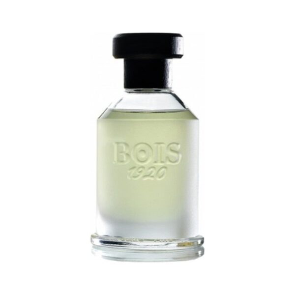Bois 1920 Magia