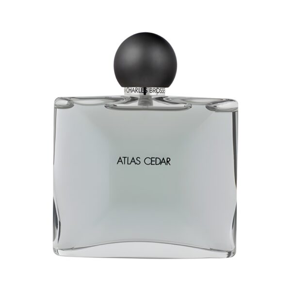 Jean-Charles Brosseau Collection Homme Atlas Cedar