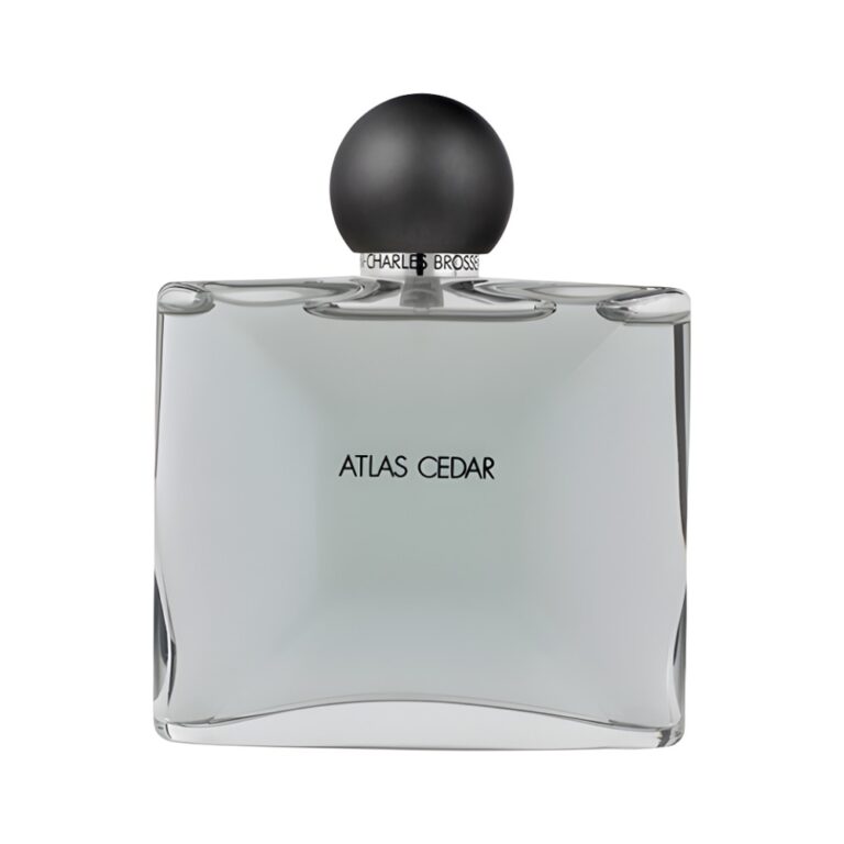 Jean-Charles Brosseau Collection Homme Atlas Cedar