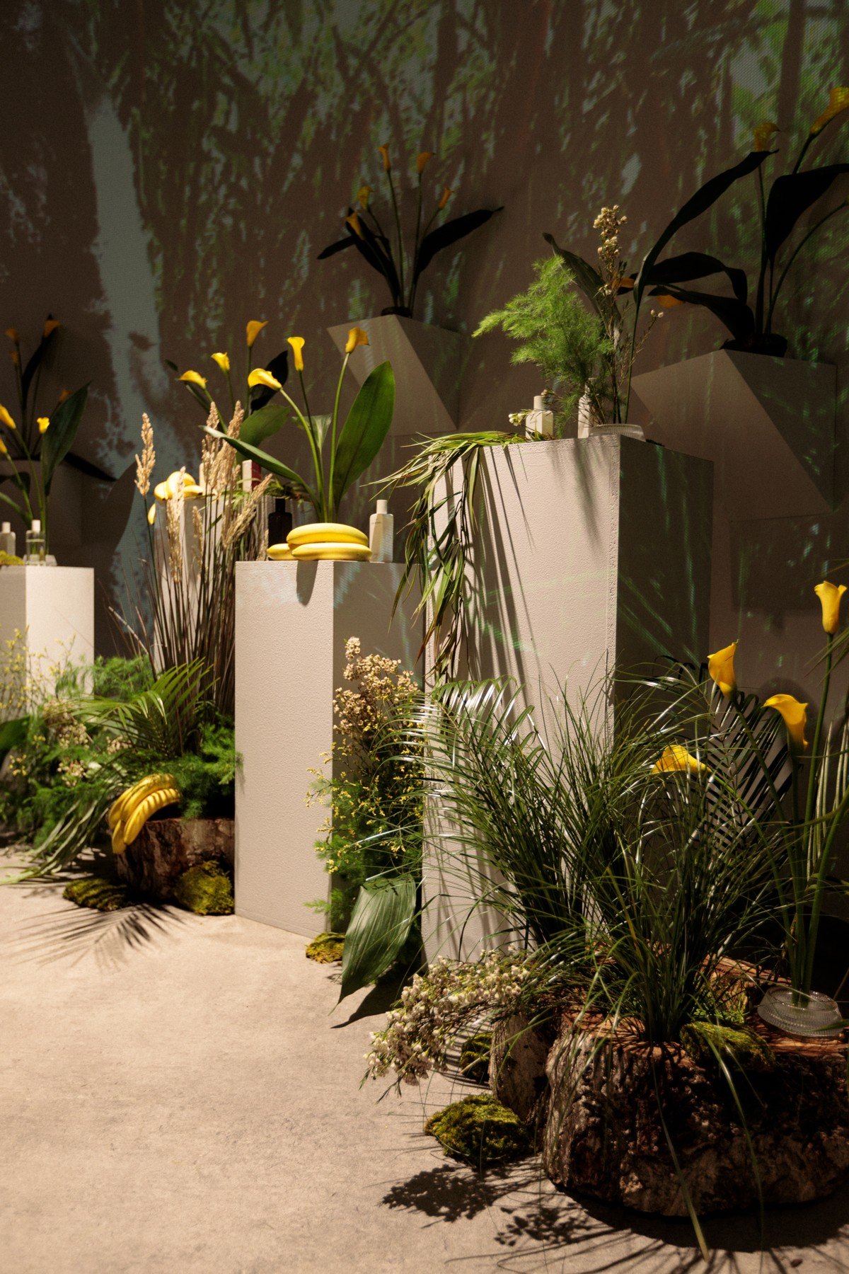 La Fleur Ev 3