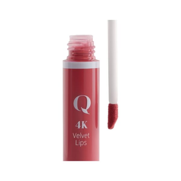 QSTUDIO Makeup 4K Velvet Lips Lipstick N.17